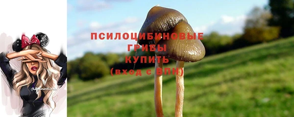 а пвп мука Инта